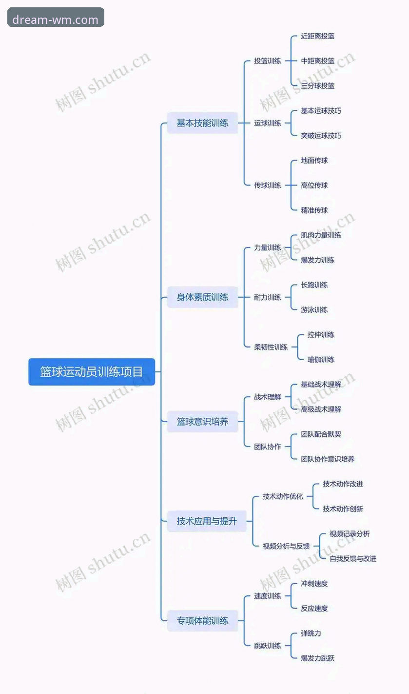 完美体育活动深度分析:从用户视角看体育竞技平台的进化逻辑