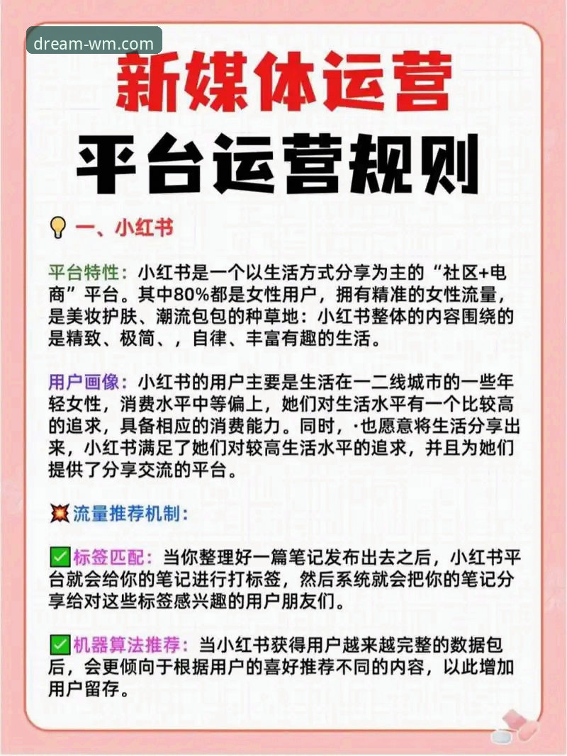 一站式娱乐服务实用指南:完美体育平台玩法与必备知识
